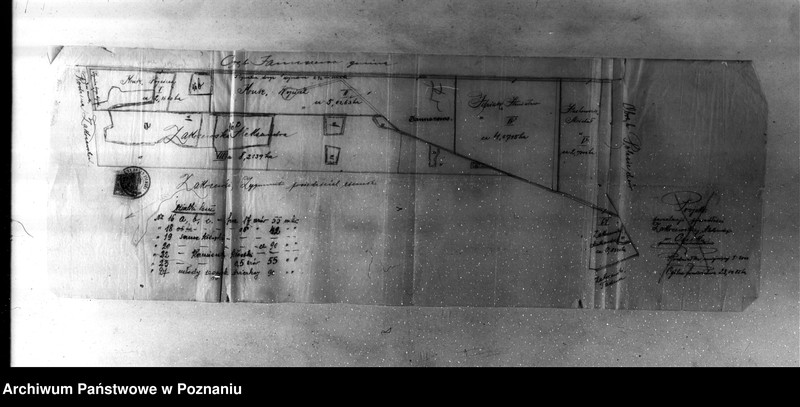 Obraz 9 z jednostki "Majętność leśna Osiek powiat kościański"