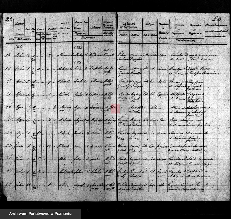 image.from.unit.number "Liber duplicatus baptisatorum"