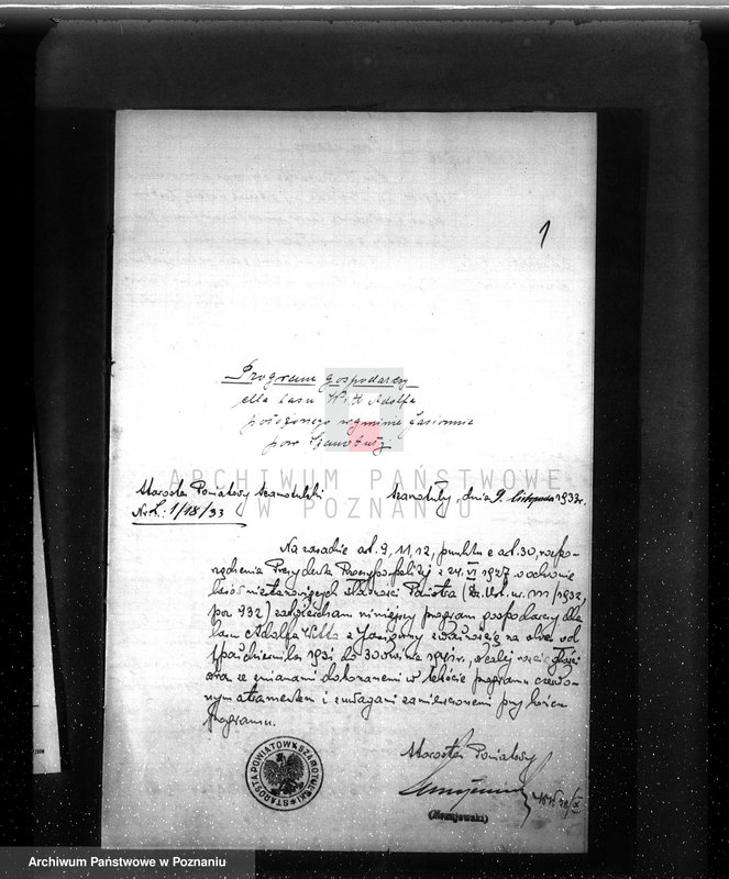 Obraz 5 z jednostki "Program gospodarczy dla lasu Adolfa Witta w gminie Jasionna powiat szamotulski"