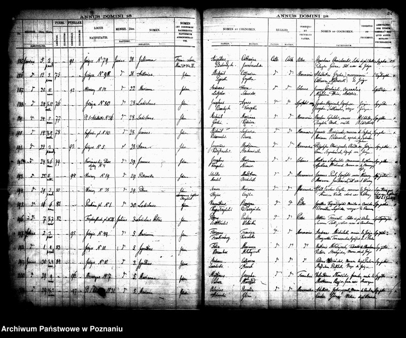 Obraz 19 z jednostki "Księga urodzin"