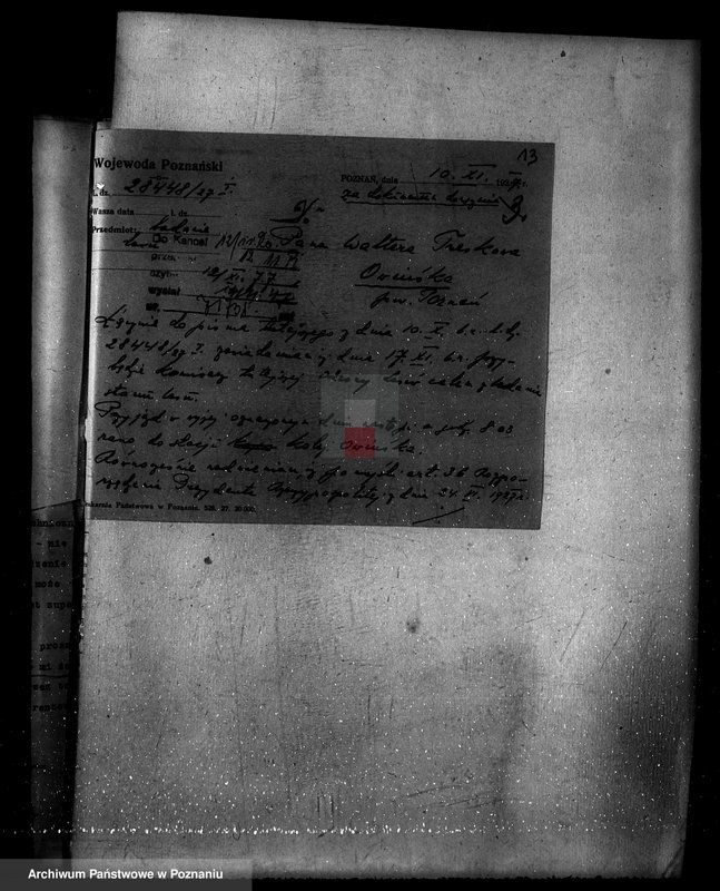 Obraz 17 z jednostki "Nadzór nad gospodarką w lasach majętności Owińska powiat poznański"