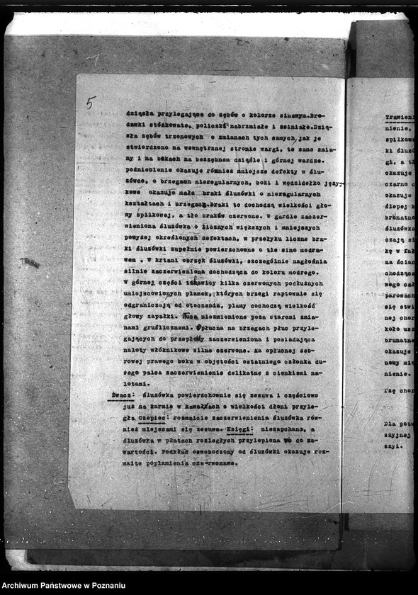 Obraz 9 z jednostki "Księgosusz - Kościerzyna"