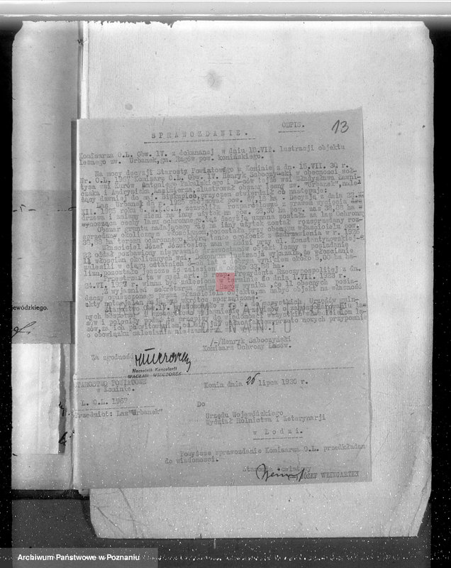 Obraz 17 z jednostki "Gmina Rzgów powiat koniński /nadzór nad gospodarką leśną/"