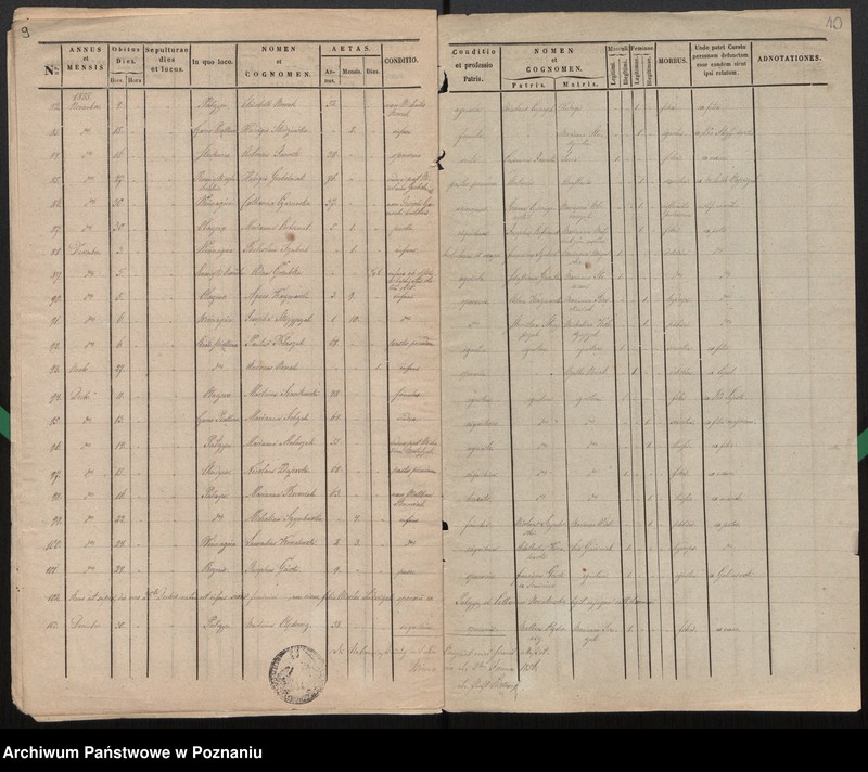 Obraz 7 z jednostki "Index mortuorum"
