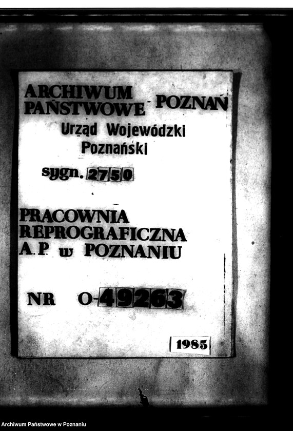 image.from.unit.number "/Plany poglądowe majętności Duszniki powiatu szamotulskiego/ Skala 1:4001"