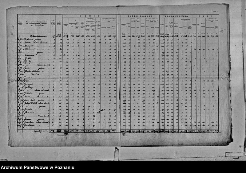 Obraz 6 z jednostki "Spis koni, bydła, trzody chlewnej i owiec - zestawienie z terenu powiatu średzkiego"