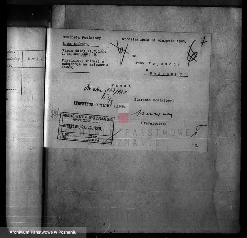 Obraz 12 z jednostki "Zalesienie nieużytków w powiecie nowotomyskim"