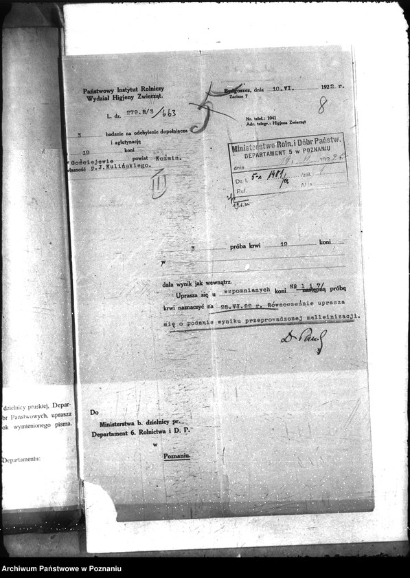 Obraz 14 z jednostki "Nosacizna - Koźmin"