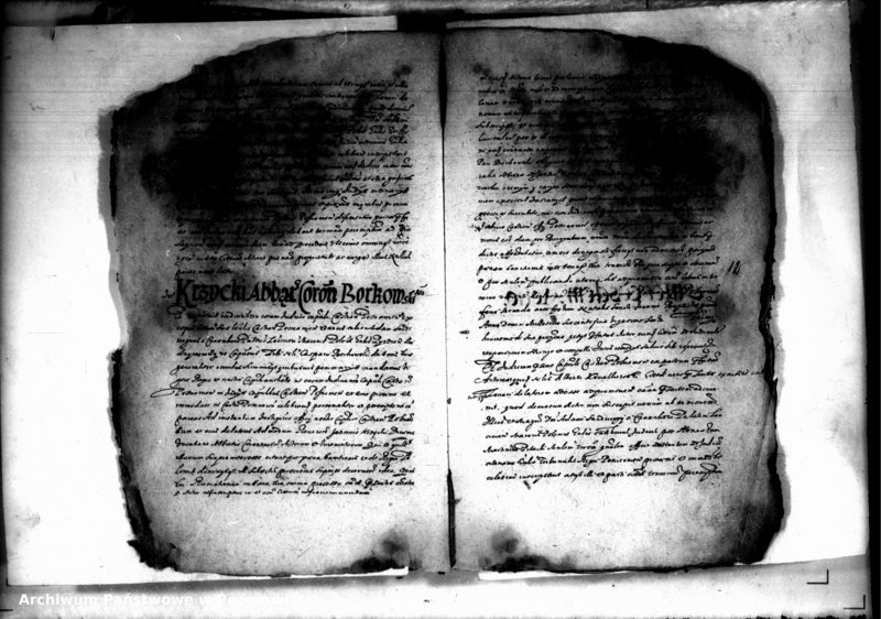 Obraz 14 z jednostki "Decreta iudicii [inducta]"