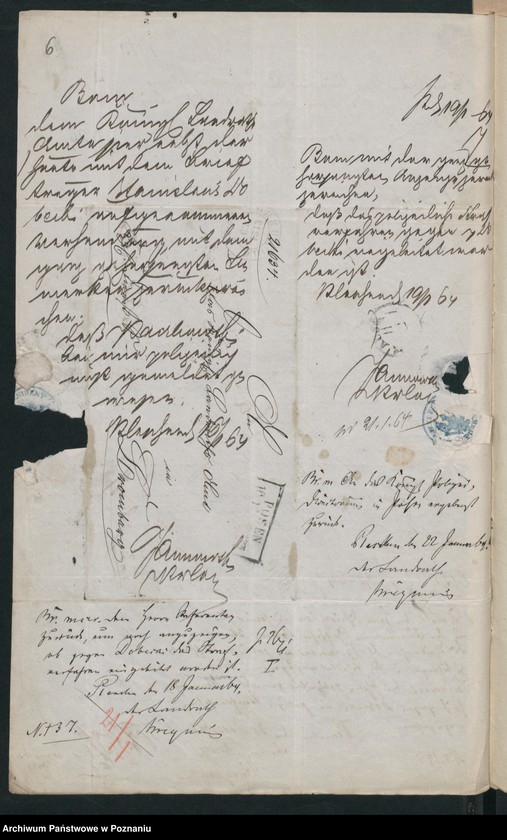 Obraz 9 z jednostki "A. betr. Ignaz und Stanislaus Paczkowski, Studenten in Greifswald"