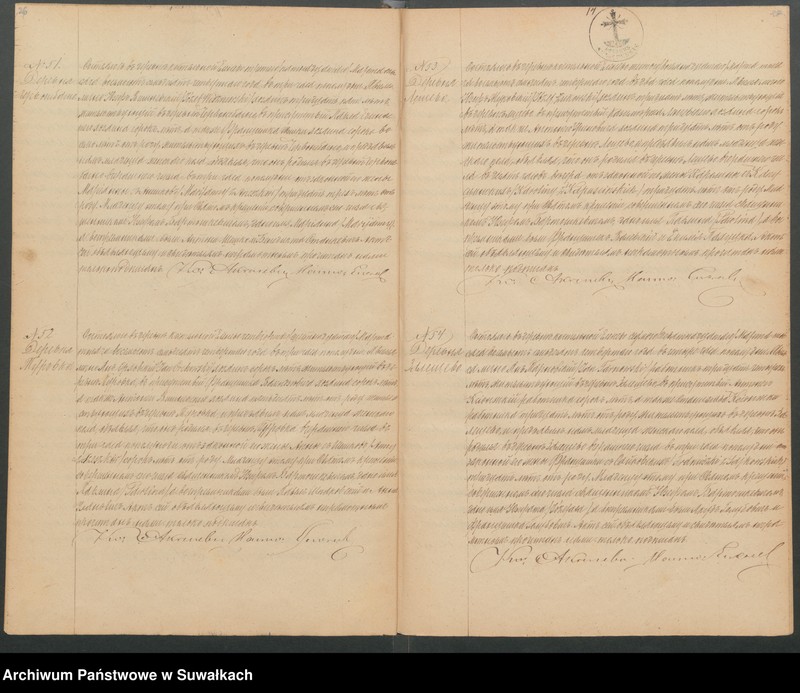Obraz 16 z jednostki "Duplikat Elenevskago Prichoda s 1874 goda"