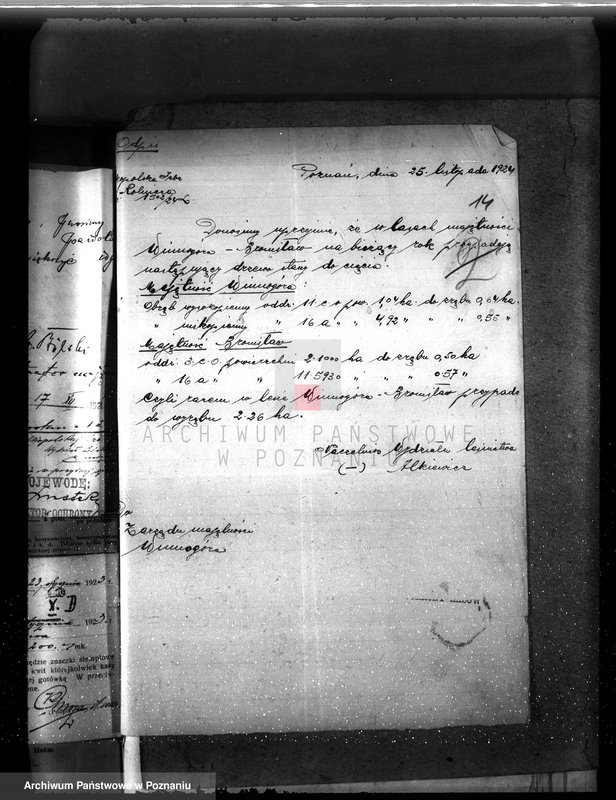 Obraz 18 z jednostki "Nadzór nad gospodarką w lasach majętności Bronisław"