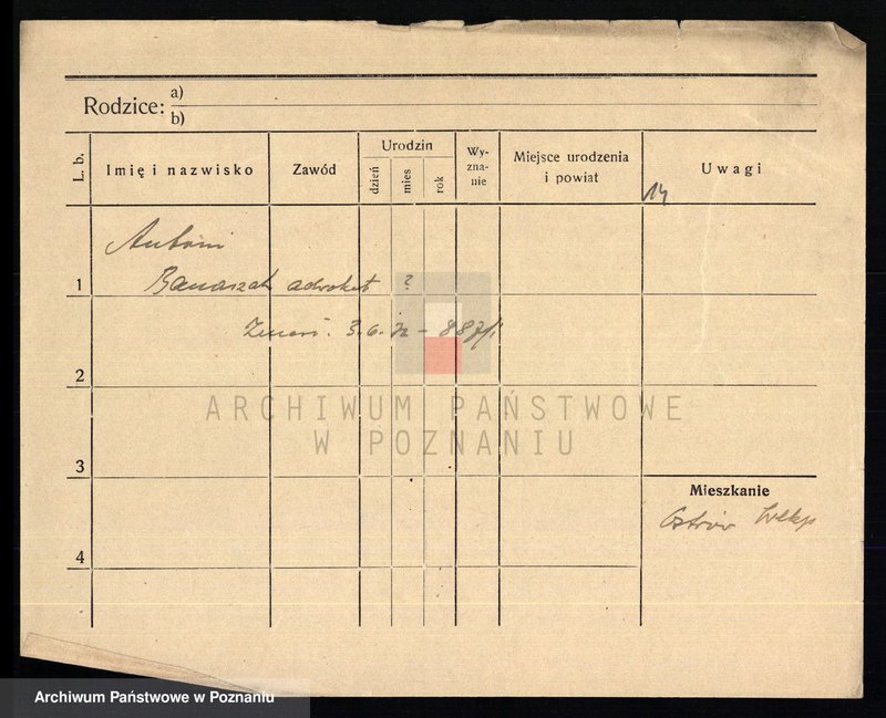 Obraz 16 z jednostki "Banaszak - Banaszyńska"