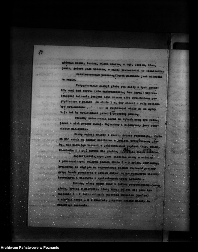 image.from.unit.number "Program urządzenia lasu majątku Zakrzewo powiat szamotulski 1937-1947"