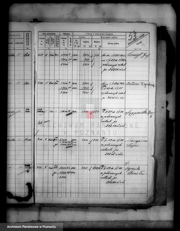 Obraz 19 z jednostki "Przewłaszczenie parcel z dóbr Samostrzel powiatu wyrzyskiego"