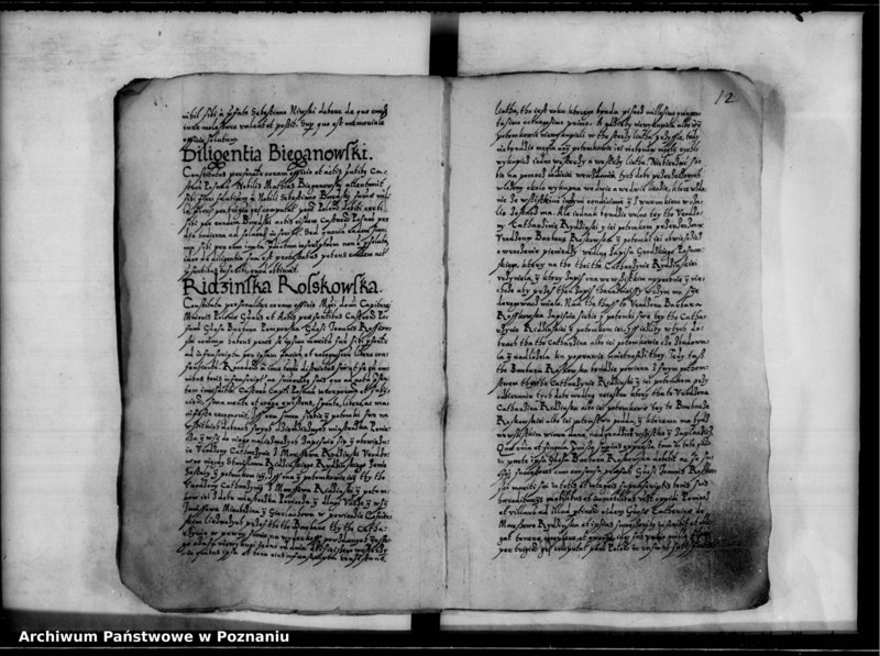 Obraz 15 z jednostki "Inscriptiones, relationes [inducta]"