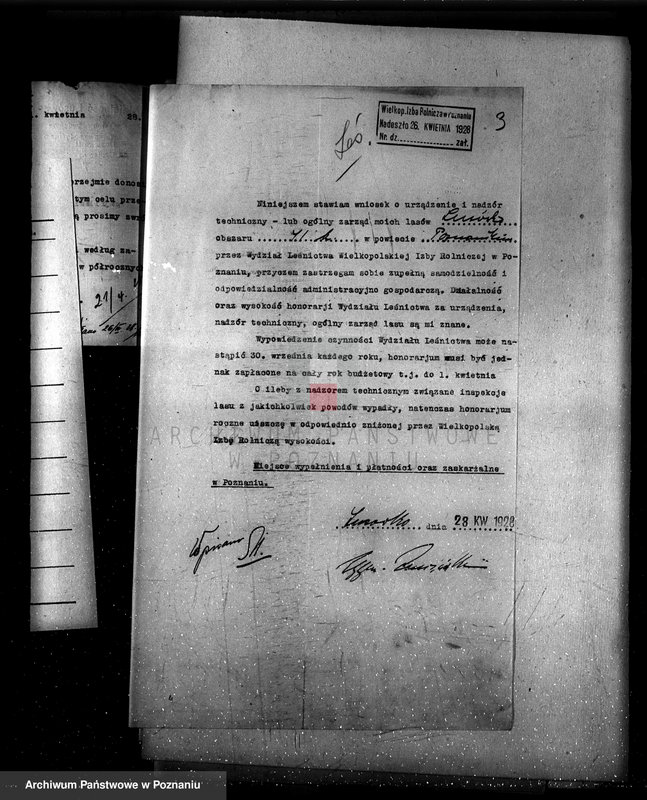 Obraz 7 z jednostki "Zarząd majętności Lusówko powiat poznański/ nadzór nad gospodarką leśną/"