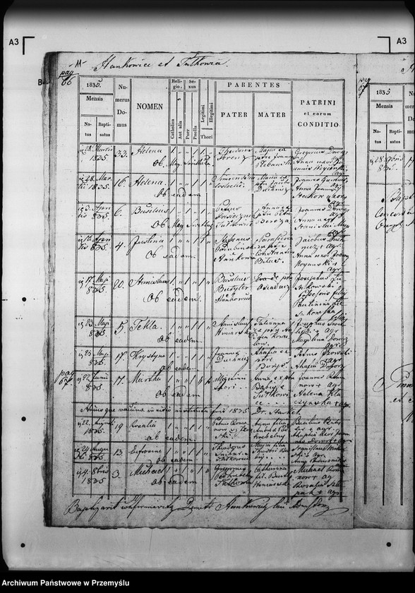 Obraz 15 z jednostki "[Kopie ksiąg metrykalnych parafii Myślatycze (dekanat Mościska)]"