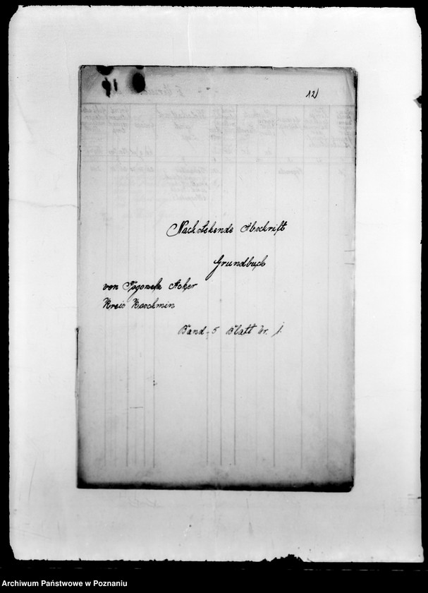 Obraz 16 z jednostki "/Nadzór i kontrola nad działalnością instytucji opiekuńczych/"