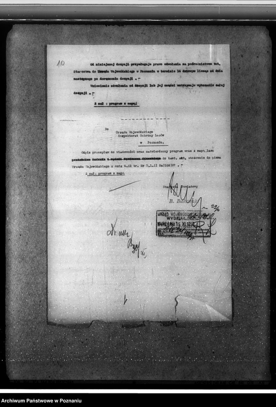 Obraz 14 z jednostki "Las majętności Dalabuszki powiat gostyński"