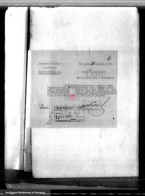 Obraz 6 z jednostki "Sprawa zniesienia nakazu zabraniającego prowadzenia użytkowania lasu w majątku Wólka-Komorowska powiat kolski gmina Izbica"