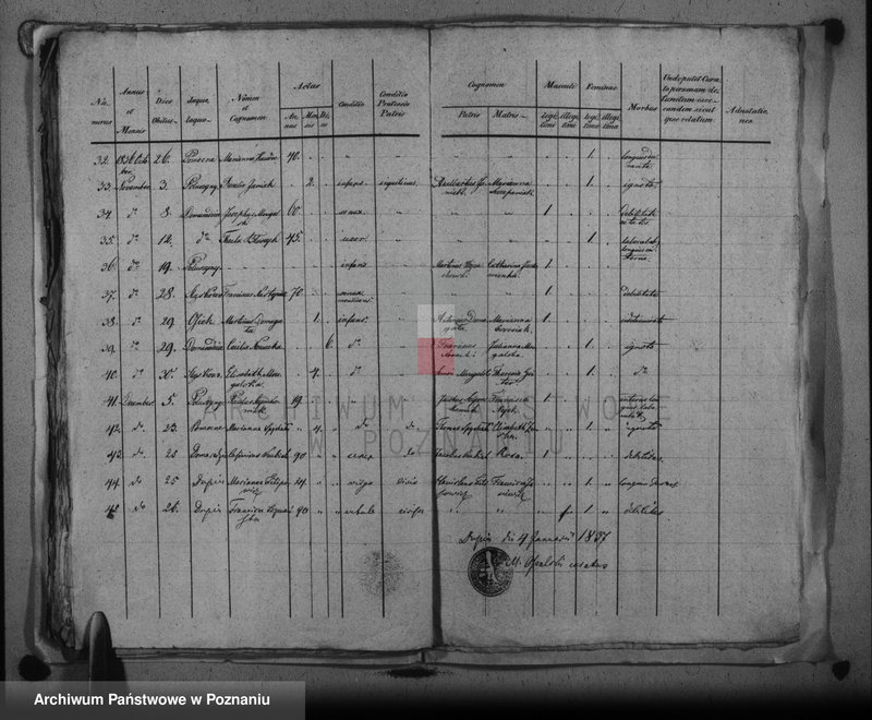 image.from.unit.number "Duplikat baptisatorum, copulatorum, mortuorum"