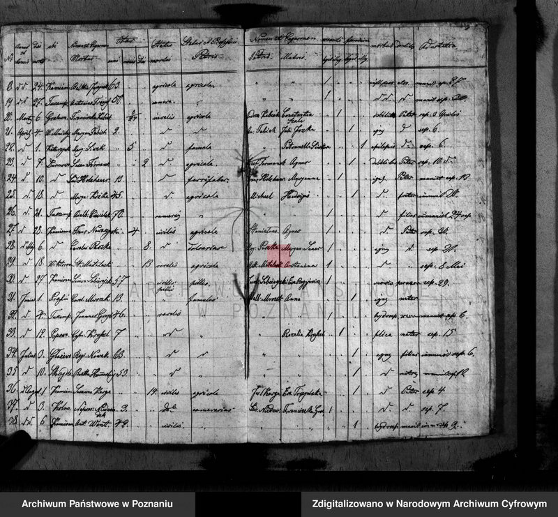 image.from.unit.number "Duplikat baptisatorum, copulatorum, mortuorum"