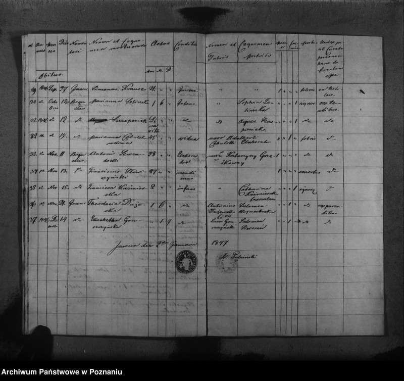 Obraz 17 z jednostki "Duplikat baptisatorum, copulatorum, mortuorum"