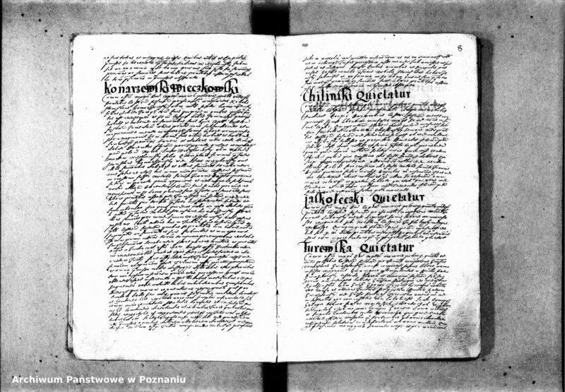 Obraz 12 z jednostki "Inscriptiones [inducta]"