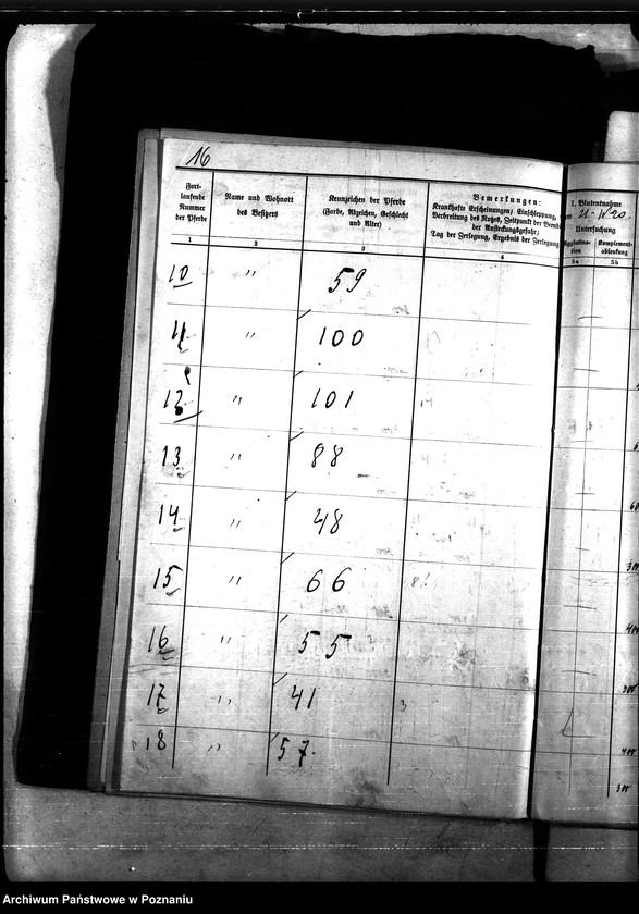 Obraz 20 z jednostki "Nosacizna - Tuchola"