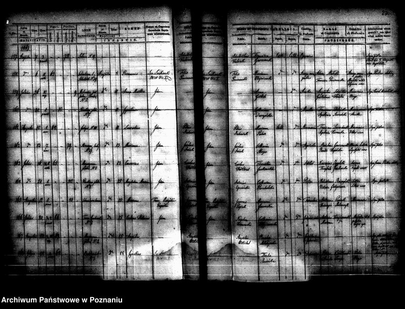 Obraz 17 z jednostki "Księga urodzin"