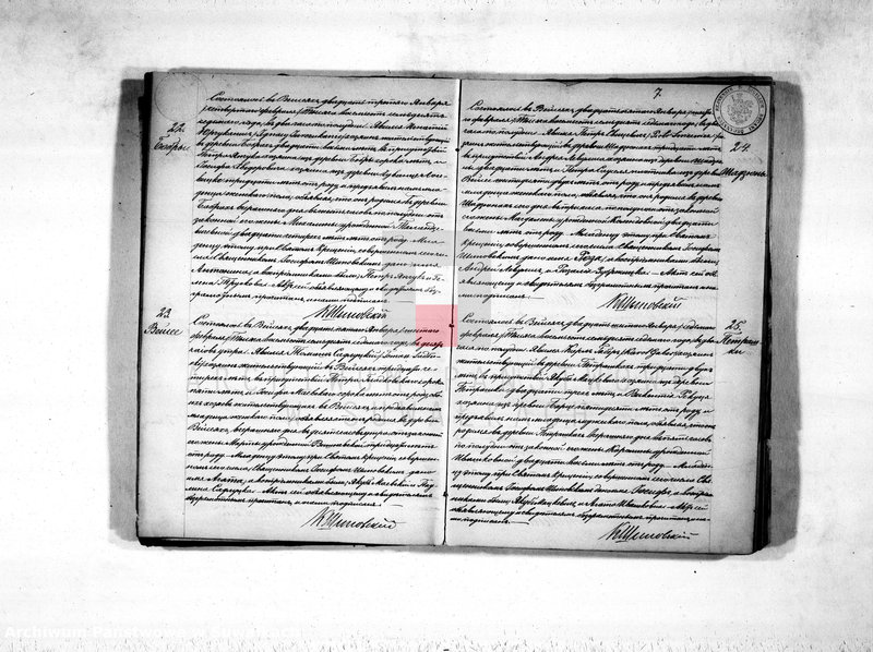 image.from.unit.number "Duplikat aktov rodivšichsja, umeršich i brakosočetavšichsja vejsejskogo rimsko-katoličeskogo prichoda na 1877 god"