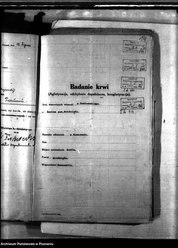 Obraz 18 z jednostki "Nosacizna - Grudziądz"