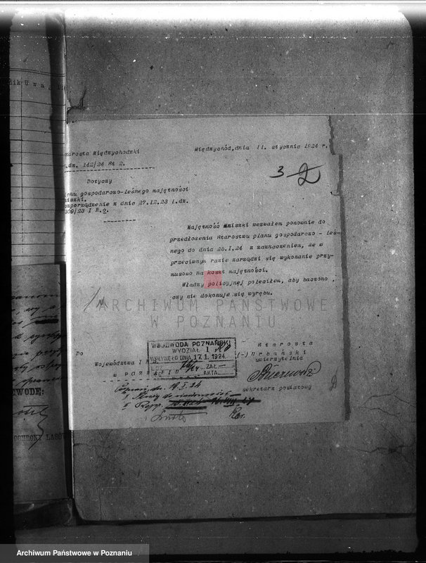 Obraz 7 z jednostki "Majętność leśna Mniszki w powiecie międzychodzkim"