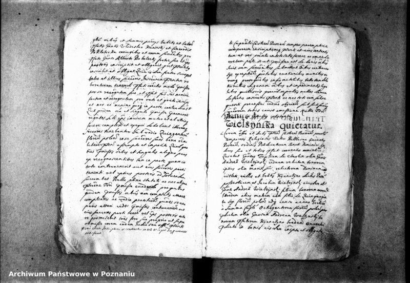 Obraz 13 z jednostki "Inscriptiones [inducta]"