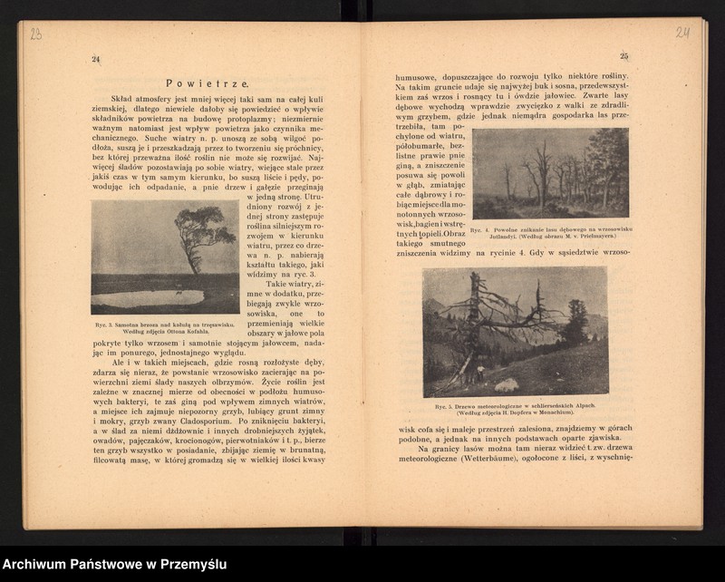 image.from.unit.number "V Sprawozdanie Dyrekcji Prywatnego Gimnazjum im. Juliusza Słowackiego w Czortkowie i Zarządu Towarzystwa Szkoły Średniej utrzymującego Gimnazjum za rok szkolny 1913/14"