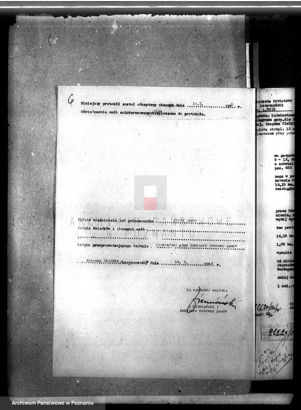 Obraz 10 z jednostki "Las majątku Krzycko Wielkie powiat leszczyński"