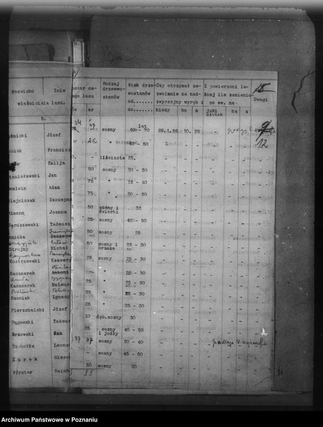Obraz 16 z jednostki "Lasy do 30 ha na terenie powiatu poznańskiego"
