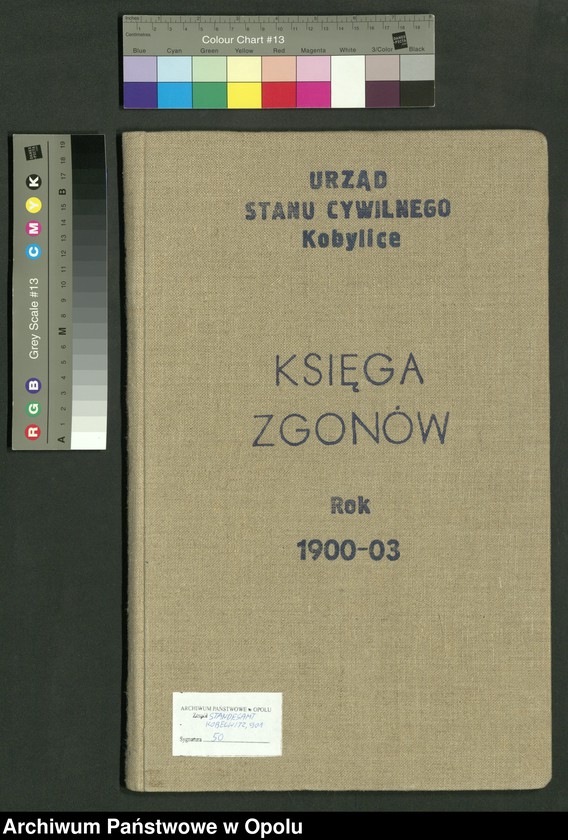 image.from.unit.number "Urząd Stanu Cywilnego Kobylice Księga zgonów rok 1900-03"