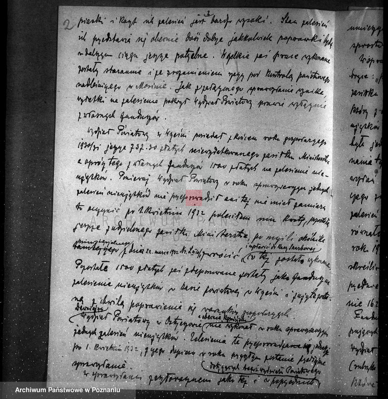 Obraz 6 z jednostki "Zalesienie nieużytków /sprawy ogólne/"