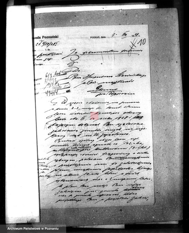 Obraz 14 z jednostki "Majętność leśna Glinno powiat wągrowiecki"