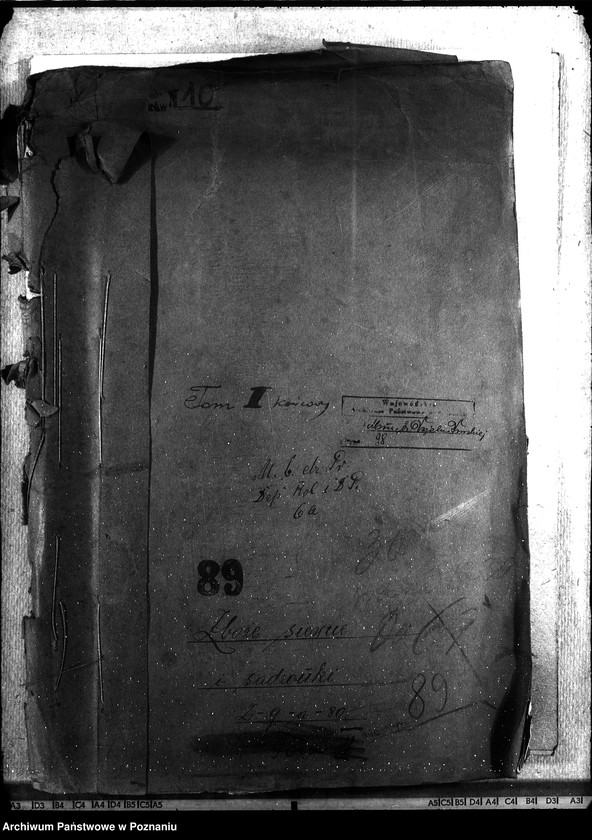 Obraz 5 z jednostki "Zboże siewne i sadzonki"