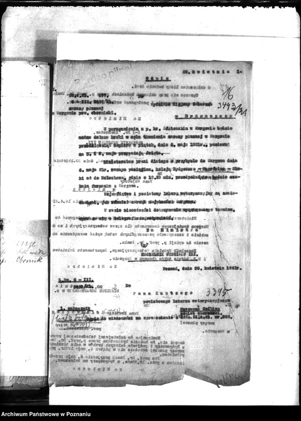 Obraz 20 z jednostki "Zaraza płucna - Oborniki"