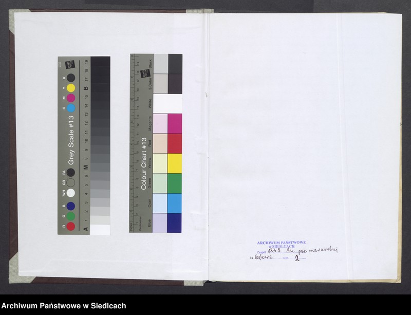 Obraz 3 z jednostki "[Akta urodzeń]"