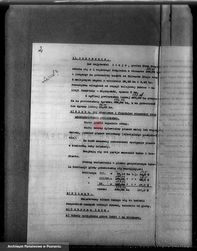 Obraz 8 z jednostki "Plan urządzenia gospodarstwa leśnego dla lasu majętności Lizie powiat nowotomyski"