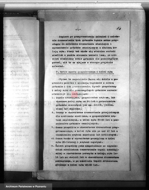 Obraz 12 z jednostki "Dodatkowy plan urządzania lasu dla lasu majątku Lubosz powiatu międzychodzkiego"