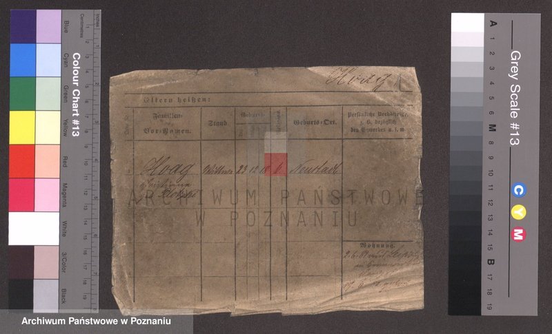 Obraz 1 z jednostki "Hoag - Hofman Ignacy (żonaci)"