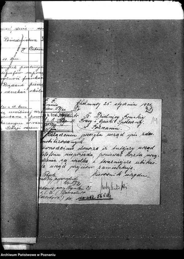 Obraz 19 z jednostki "Państwowy Urząd Pośrednictwa Pracy w Chełmnie"