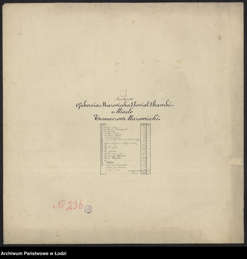 Obraz 8 z jednostki "Pierworys pomiaru territorium Miasta Tomaszowa Mazowieckiego z przyległymi gruntami i lasami do dóbr Tomaszowa należącymi ..."