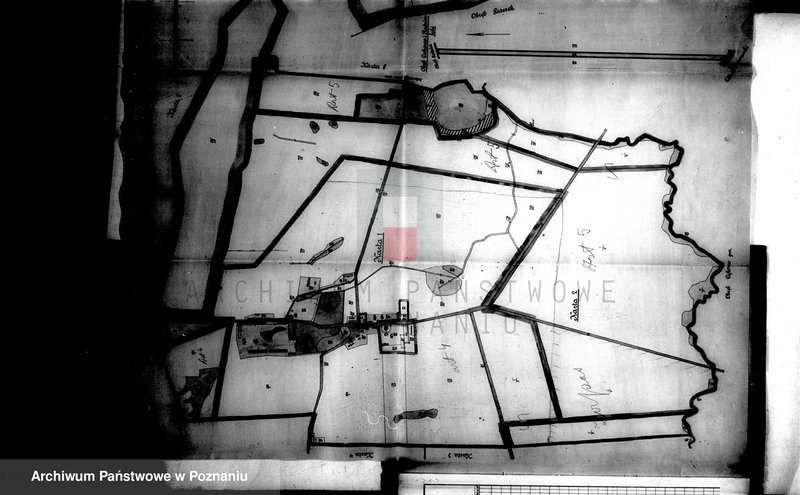 Obraz 19 z jednostki "Rejestr pomiarowy wyłączeń z art. 4 i 5 ustawy o reformie rolnej majątku Dębowo powiatu wyrzyskiego"